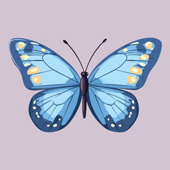 Beautiful Butterflies and Flying vector illustration 