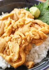 うに丼