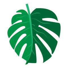 Mostera Tropical Leaf Silhouette Icon, Simple Icon Vector Design, best used for presentation, application, web and banner	