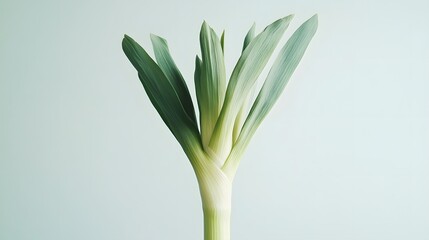 Obraz premium A Single Leek Plant Against A Light Green Background