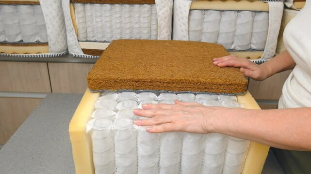 Mattress filler. A mattress sample is in the woman's hands. Independent spring blocks and fillers made of coconut coir, foam rubber, algae, cotton in a cotton cover