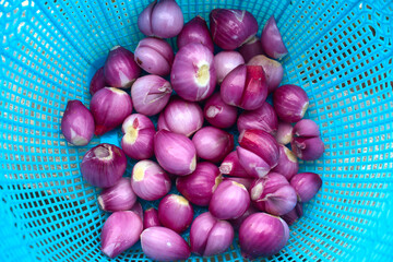 peeled shallots in a container