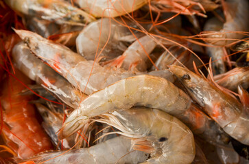 Fresh Raw Shrimp on Ice at Seafood Market background copy space 