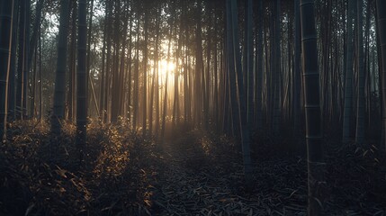 Fototapeta premium Sunrise in bamboo forest, misty path. Background, nature, serenity, wallpaper
