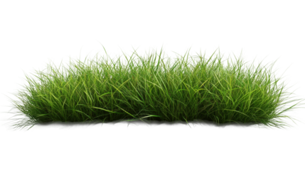 Lush green grass patch with vibrant blades for landscaping or decoration purposes, perfect for outdoor or indoor settings