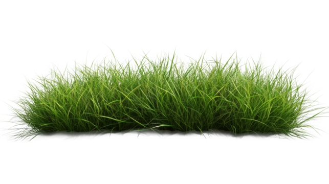 Lush green grass patch with vibrant blades for landscaping or decoration purposes, perfect for outdoor or indoor settings