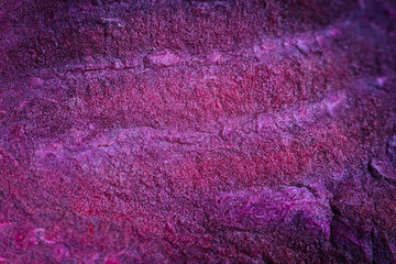A macro shot of freeze-dried beet slices showcasing their deep, vibrant hues, crunchy texture, and...