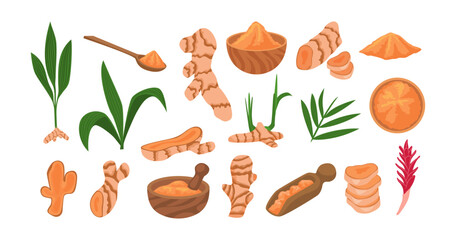 Set of turmeric plant collection kit with Root and Powder Pile in Bowl, Cartoon isolated Curcuma longa collection, fresh natural plant with flower, green leaves and roots, tuber slices.