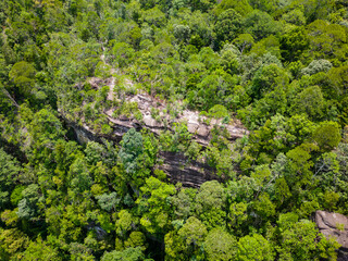Top down view of tropical jungle and cliffs in Bako