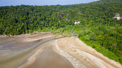 Mangrove forest and tropical jungle at the Bako  national park, Borneo