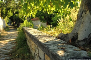 Fototapeta premium Serenity along a sunlit path bordered by lush greenery and stone walls in a tranquil setting