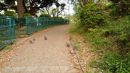 This is Kanagawa Prefecture, Japan. It is written 