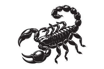 Detailed Black and White Scorpion Illustration