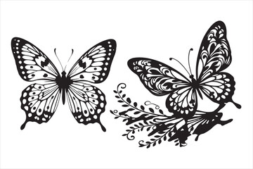 butterfly vector illustration