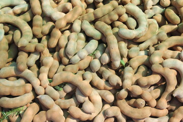 Agriculture is the practice of cultivating soil, growing crops, and raising livestock to produce food, fiber, medicinal plants, and other products essential for human survival and economic development