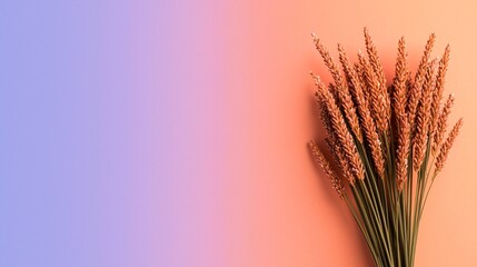 Fototapeta premium Harvesting natural beauty dried grass arrangement on gradient background artistic photography home decor indoor setting aesthetic concept
