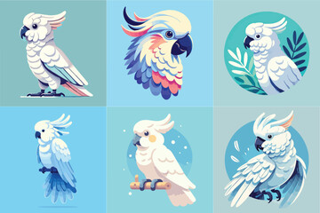 collection of cockatoo vector illustration