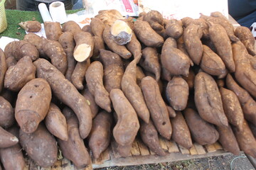 Agriculture is the practice of cultivating soil, growing crops, and raising livestock to produce...