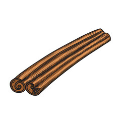 Cinnamon stick color vector illustration in sketch style. Hand drawn aromatic spice line art for packaging and design. Ingredient for recipes and aromatherapy.