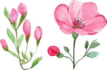 Fototapeta premium bouquet of pink tulips
