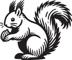 Squirrel vector in black and white