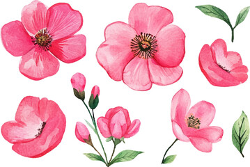 pattern with pink flowers