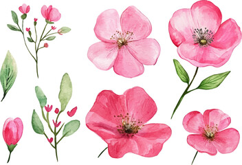 Fototapeta premium pink and white flowers
