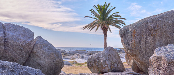 Rocks, sand and beach coast for freedom, holiday trip and tranquility in tropical island of New Zealand. Boulders, peace and travel to sea waves in nature, ocean vacation and sustainable adventure