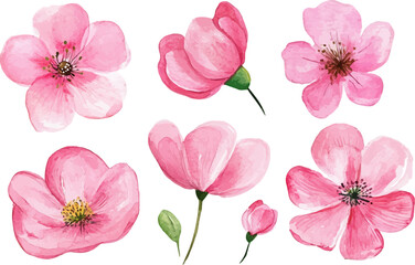 collage of pink flowers