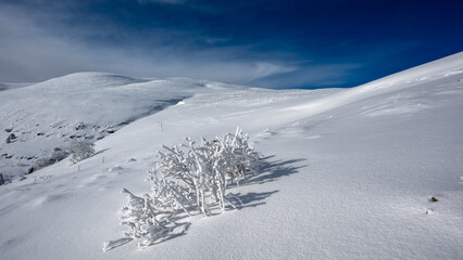 Paysage enneigé de montagne en hiver dans le massif du Vercors dans le département de la Drôme...
