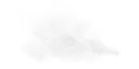 Bright Grey Smoke Cloud Illustration. Fantastic grey smoke. Magic smoke. Smog cloud on podium or stage. Fog vapor over ground or water surface, magic haze. Magic smoke, magic fog, grey steam. PNG.