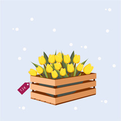 Yellow tulips in a wooden box. A bouquet of yellow tulips, for celebrating Mother's Day or March 8.