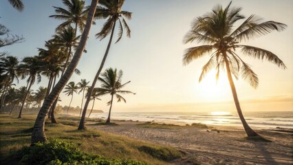 Fototapeta premium Warm sunlight filtering through palm trees as they sway gently in the ocean breeze, ocean waves, tropical paradise, sunny day, sea grass