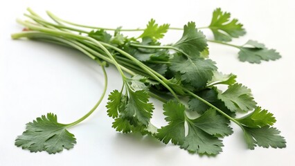 Fototapeta premium Fresh Bunch of Green Cilantro Herb Leaves on a White Surface Ready for Culinary Uses