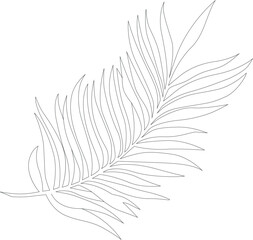 Vector hand drawn graphic line sketch of tropical leaf in black color