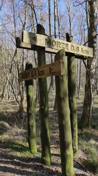 Wooden Signpost in Forest Trail, ROWY 0.4 km