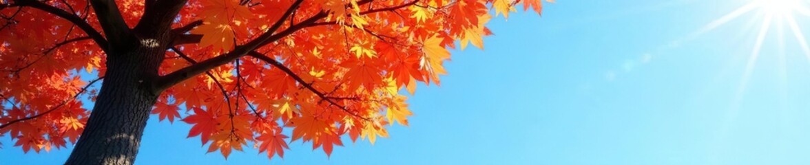 Autumn tree against a clear blue sky with sunlight, leaves, nature