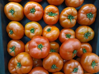 Fresh tomatoes in the shop window 
