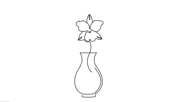 Animated one continuous single-line drawing of a beautiful gardening flower tob with orchid flowers. One-line animation of home decorative elements motion graphics artwork. 