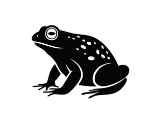 Fototapeta premium toad silhouette