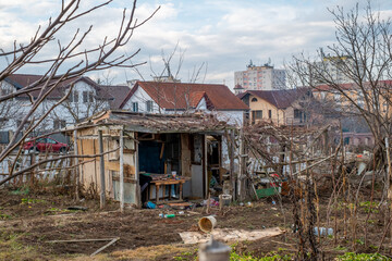 Fototapety na wymiar - Fototapeta24.pl