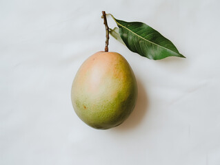 Mango isolated
