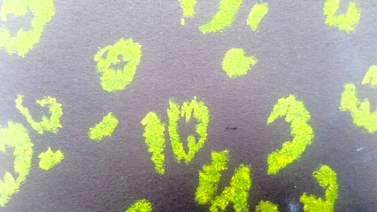 Exotic Animal Patterns. Colored Wild Cat Skin. © Olga