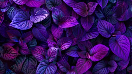 Colorful leaf texture for background