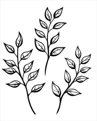 set of black vector silhouettes of plant branches with leaves