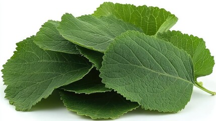 Obraz premium A Pile of Lush Green Leaves Isolated on White