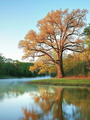 Obraz premium A serene autumn landscape featuring a golden tree by a misty river at sunrise.