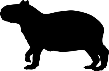 silhouette of capybara illustration.