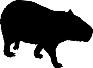 silhouette of capybara illustration.