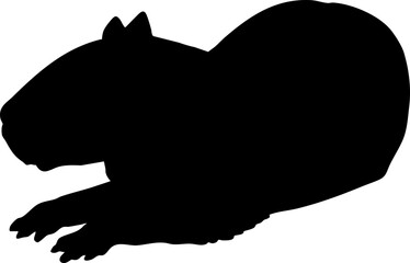 silhouette of capybara illustration.